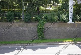 wall overgrown ivy 0007